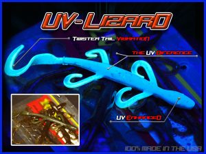 UV Lizard